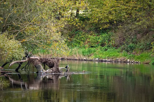 Herleshausen 'de Hesse ve Thuringia arasındaki Werra Nehri.