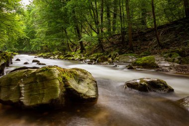 Thüringen 'deki Schwarza Nehri.