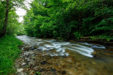 Romanya 'nın Hunedoara kentindeki Capathian' da bir dere ve küçük bir şelale