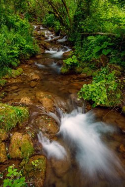Romanya 'nın Hunedoara kentindeki Capathian' da bir dere ve küçük bir şelale
