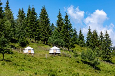 Ormandaki Yurt Çadırı