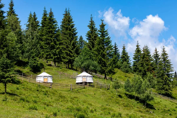 Een Yurt Tent Het Bos Rechtenvrije Stockfoto's