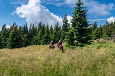 Karpatya arazisinde at binmek