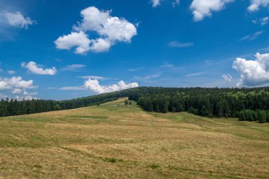 Romanya 'daki Karpat Dağlarının Manzarası