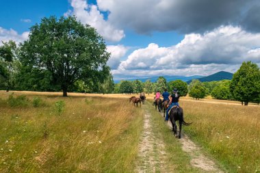 Karpatya arazisinde at binmek