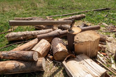 Kamp ateşi için odun yapmak için balta.