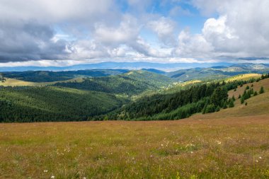 Romanya 'daki Karpat Dağlarının Manzarası