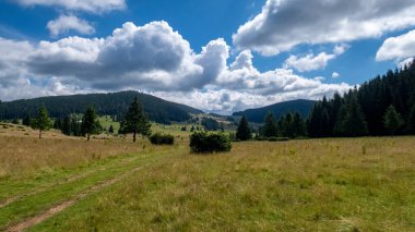 Romanya 'daki Karpat Dağlarının Manzarası