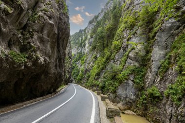 Romanya 'nın Karpatlar bölgesindeki Bicaz Kanyonu