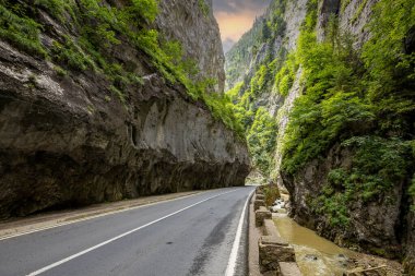 Romanya 'nın Karpatlar bölgesindeki Bicaz Kanyonu