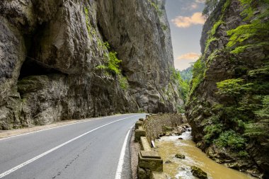 Romanya 'nın Karpatlar bölgesindeki Bicaz Kanyonu