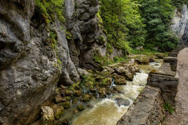 The Bicaz Canyon in the Carpathians of Romania clipart