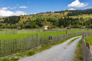 Romanya 'daki Ciocanestiin Peyzajı