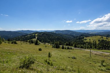 Romanya 'daki Karpat Dağlarının Manzarası