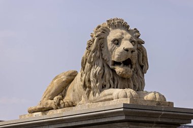 Budapeşte 'deki Aslan Heykeli