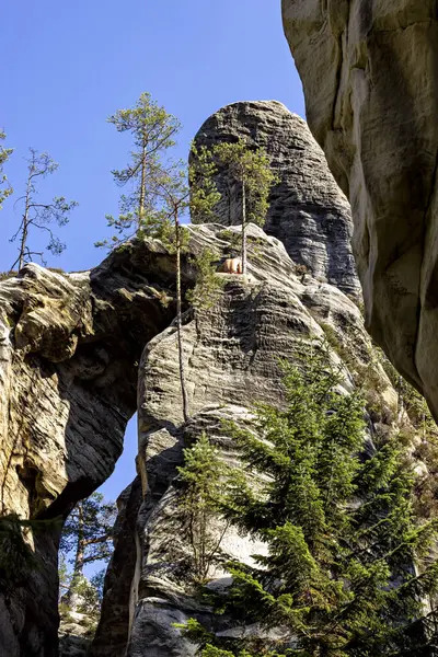 stock image Die Felsenstadt Adrspach Weckelsdorf im Braunauer Bergland 