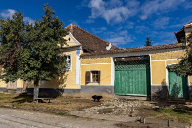 Viscri 'deki Transilvanya Sakson Çiftlikleri