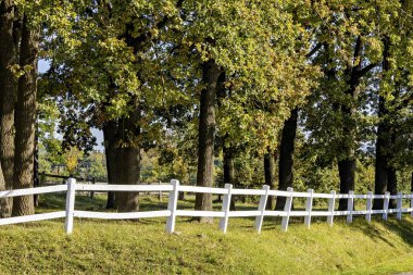 Hesse, Altefeld 'deki Ringgau Manzarası