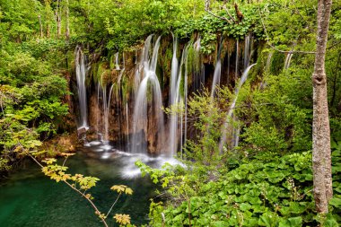 Hırvatistan 'daki Ulusal Park Plitvica 