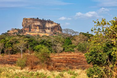 Sri Lanka Sigiriya aslan kaya