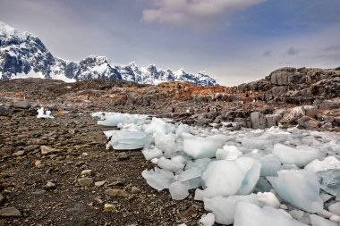 Ice and Landscape of Antarctica clipart