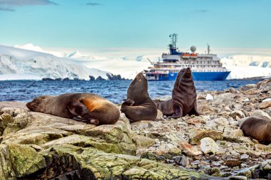 Cruising Ship in the Antarctic Area clipart