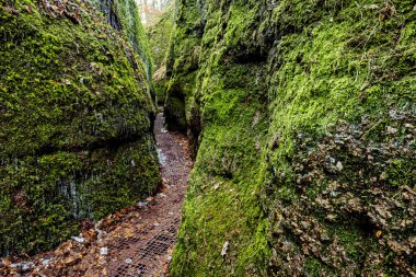 The Dragon Gorge at Eisenach in Thuringia clipart