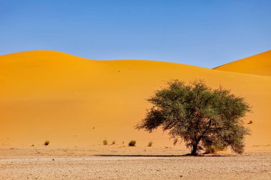 The Sand Dunes of the Sahara Desert in Algeria clipart