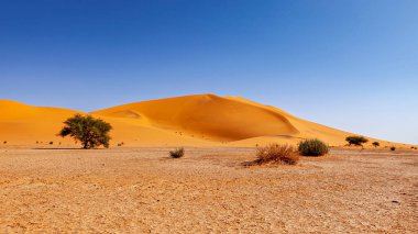 The Sand Dunes of the Sahara Desert in Algeria clipart