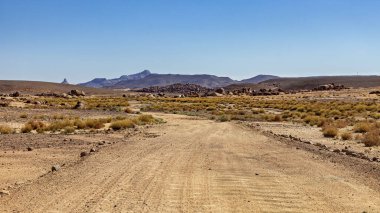 Cezayir 'deki Sahra Çölü' nün Peyzaj ve Dağları
