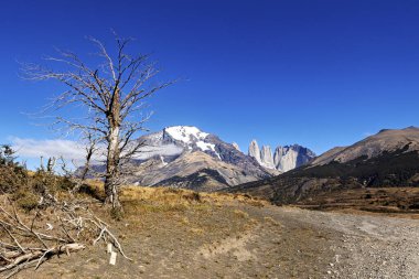 Chila 'daki Torres del Paine Ulusal Parkı
