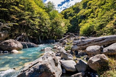 Şili 'deki Torres del Paine Milli Parkı' nda nehir.