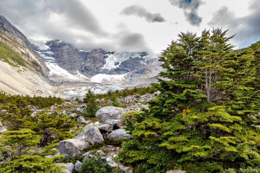 Chila 'daki Torres del Paine Ulusal Parkı