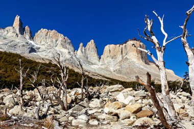 Chila 'daki Torres del Paine Ulusal Parkı