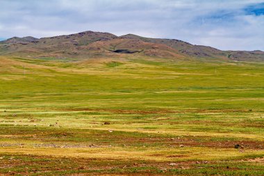 Moğolistan 'ın sonsuz manzarası