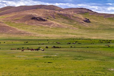 Moğolistan 'ın sonsuz manzarası