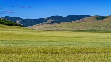 Moğolistan 'ın sonsuz manzarası