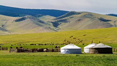 Moğol Yurdu ve Göçebe Halk Kampı