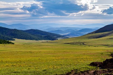 Moğolistan 'ın sonsuz manzarası