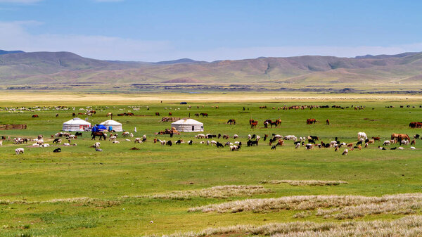 Монгольская юрта и лагерь кочевников