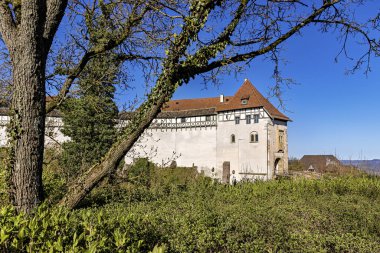 Thüringen 'deki Eisenach' taki Wartburg Kalesi.