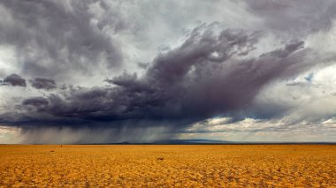 Moğolistan 'daki Gobi Çölü manzarası.