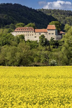 Thuringia 'daki Werra Vadisi' ndeki Creuzburg Şatosu.