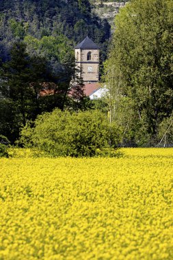 Thuringia 'daki Werra Vadisi' ndeki Creuzburg Kilisesi.