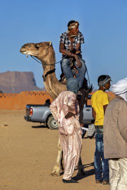 Tuareg with Camels in the Sahara of Algeria, November 19, 2011