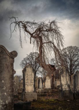 İrlanda Kelt Mezarlığı, Jerome Dağı. Dublin, İrlanda - 28 Aralık 2023