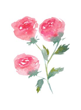 Suluboya gül buketi. Sevgililer Günü için harika bir kart.