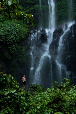 Bali 'de yoğun yeşilliklerle çevrili güçlü Sekumpul Şelalesi' nin önünde kendine güvenen şortlu bir adam duruyor..