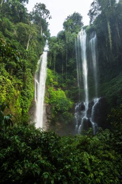 İkiz şelaleler, yoğun yapraklarla çevrili yemyeşil bir uçurumdan aşağı dökülür. Şelalenin sisi yükselir, dingin ve ferahlatıcı bir atmosfer yaratır..