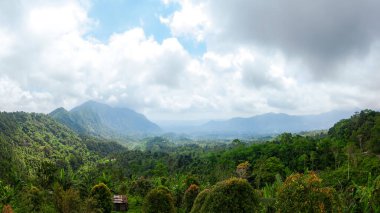 Dağlarla çevrili yemyeşil bir vadinin panoramik manzarası bulutlu bir gökyüzünün altında.